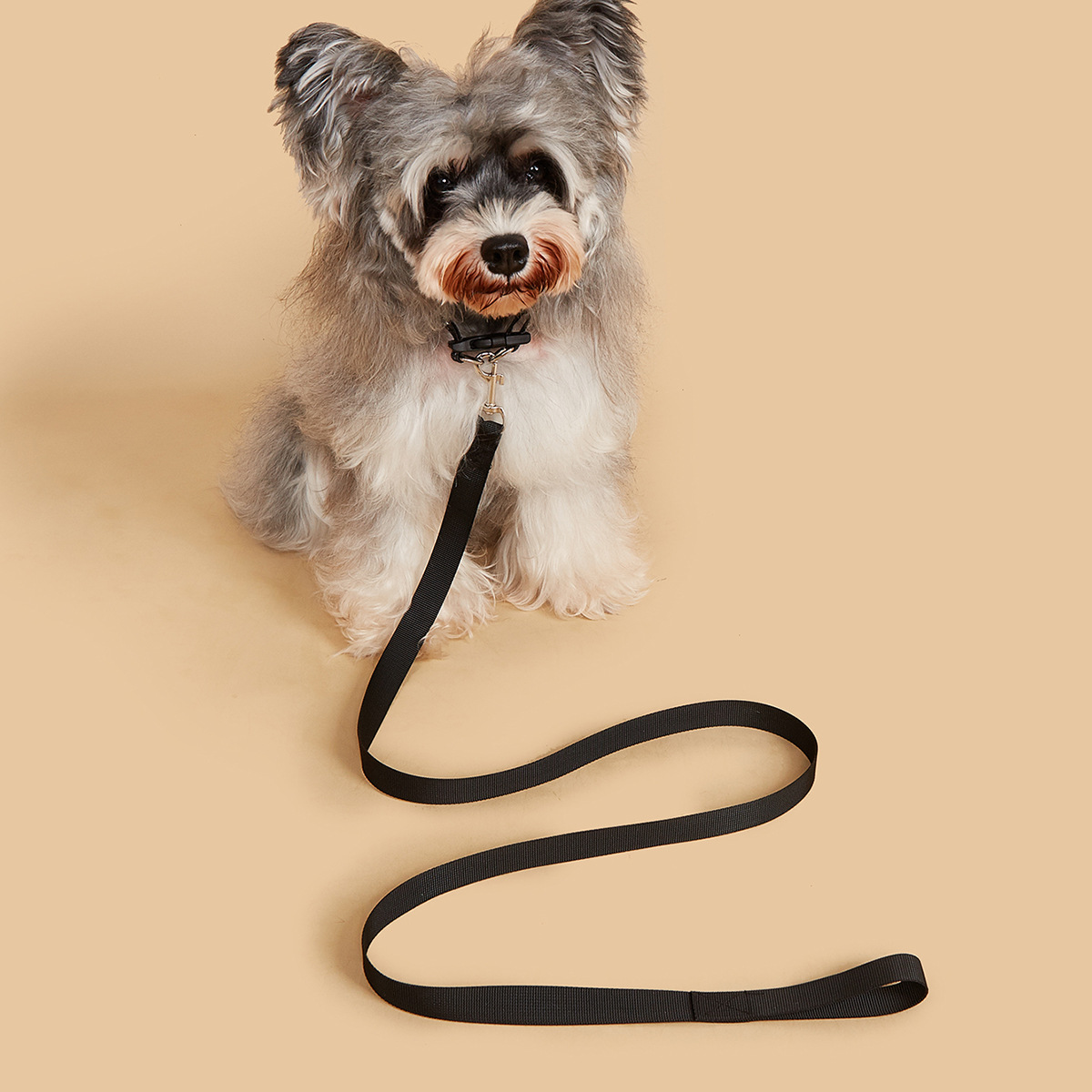 Conjunto de Correa y Collar pa - Headcollar Rope Set reseña y precio