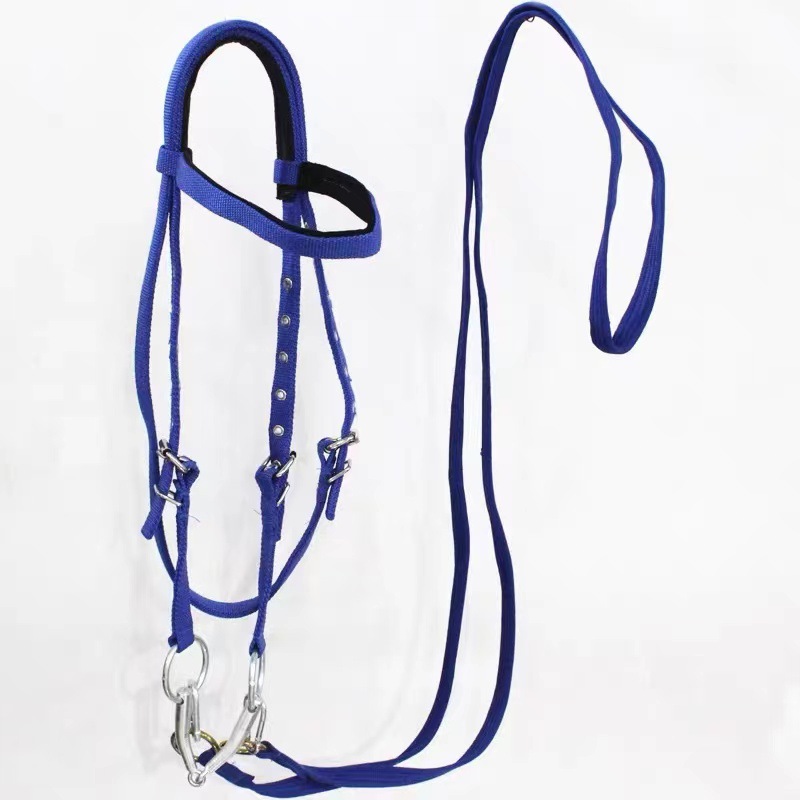 Cabestro para Caballo con Jueg - Headcollar Rope Set reseña y precio