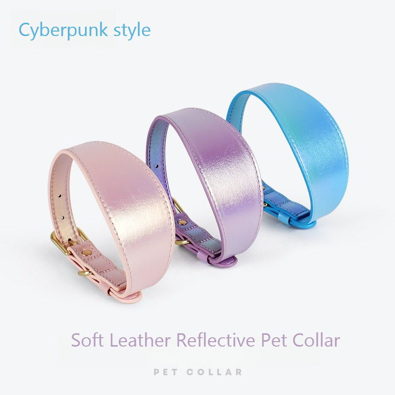Conjunto de Correa y Collar Re - Headcollar Rope Set reseña y precio